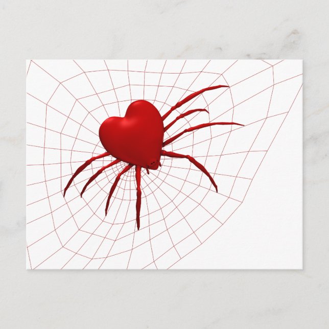 Funny Orb-Weaver Spider Postcard (Front)