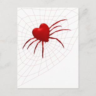 Funny Orb-Weaver Spider Postcard