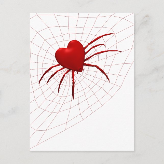 Funny Orb-Weaver Spider Postcard (Front)