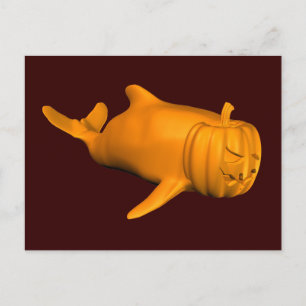 Funny Orcinus orca Postcard