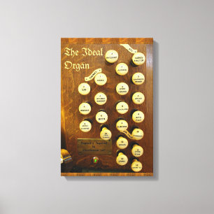 Funny organ canvas print