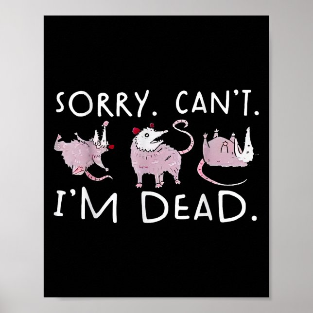 Funny Ossum Ssum Trash Sorry Can't I'm A Dead  Poster (Front)