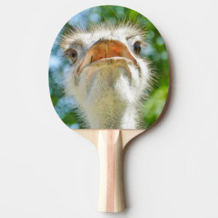 Funny Ostrich Animal Photo Ping Pong Paddle