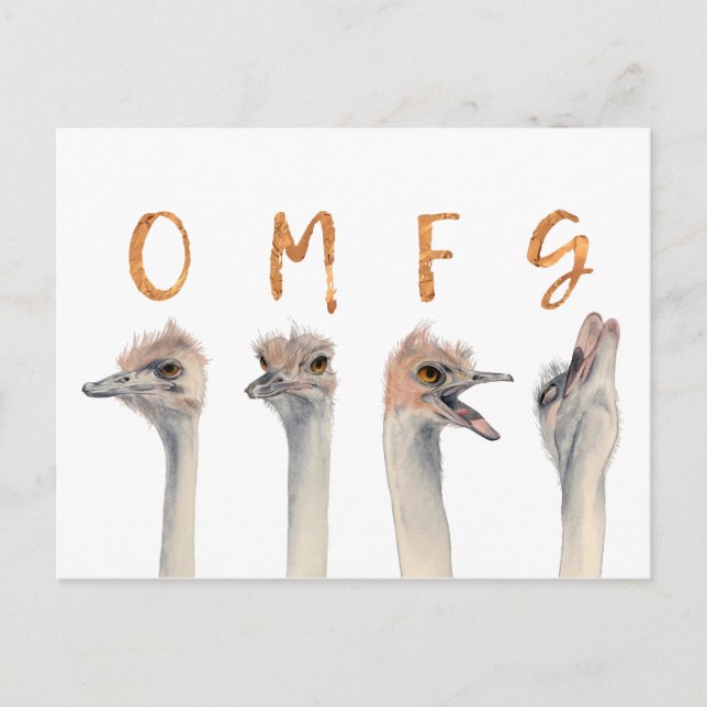 Funny Ostrich Birds OMFG Postcard (Front)