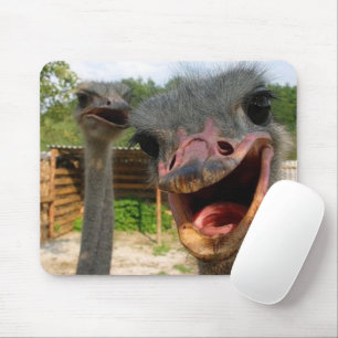 Funny Ostrich Couple Mouse Mat