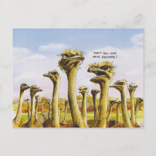 Funny Ostridge Postcard
