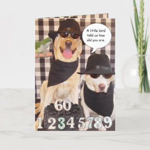 Funny Over the Hill Card