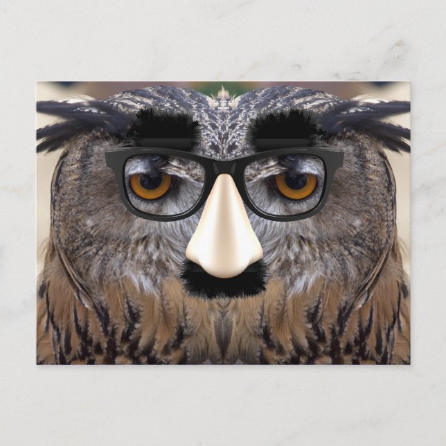 Funny Owl Face With Mask Postcard (Front)