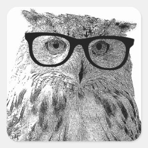 Funny owl stickers   Bird wearing glasses
