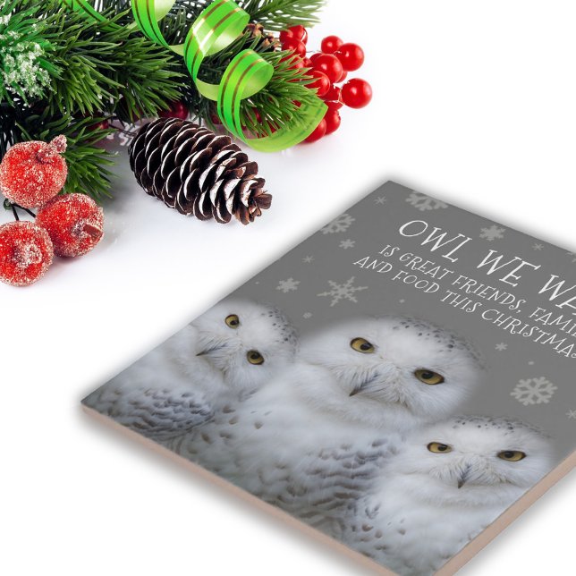 Funny Owl We Want for Christmas ... Snowy Owls Tile (Zazzle Funny Owl We Want for Christmas ... Snowy Owls Tile Cover Photo.)