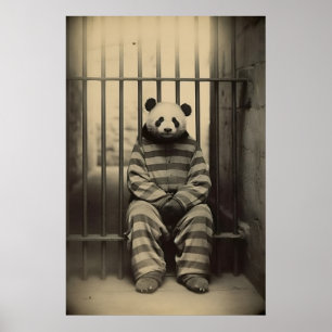 Funny Panda Prison Print Vintage Animal Photo