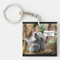 Funny Pandas or Koalas - Which are cuter?