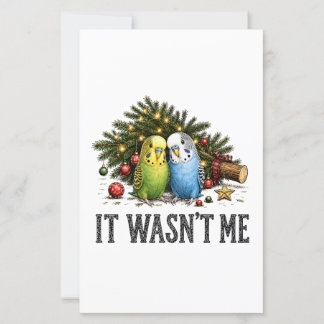 Funny Parakeets Christmas It Wasn't Me