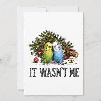 Funny Parakeets Christmas It Wasn't Me Card