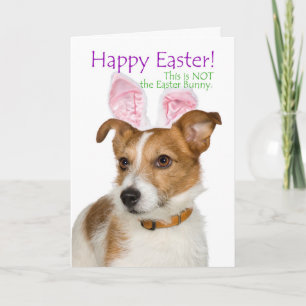 Funny Parson Russell Terrier Easter Card