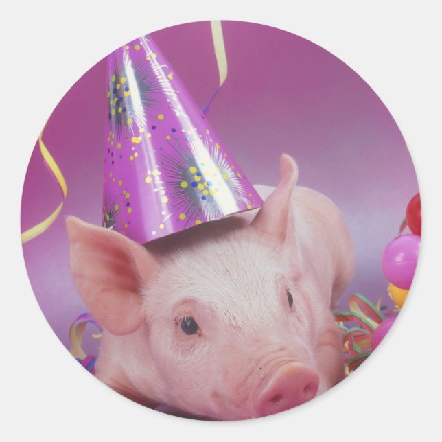 Funny Party Pig Classic Round Sticker (Front)
