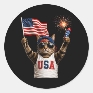 Funny Patriotic Cat Usa Flag Fireworks 250 Classic Round Sticker