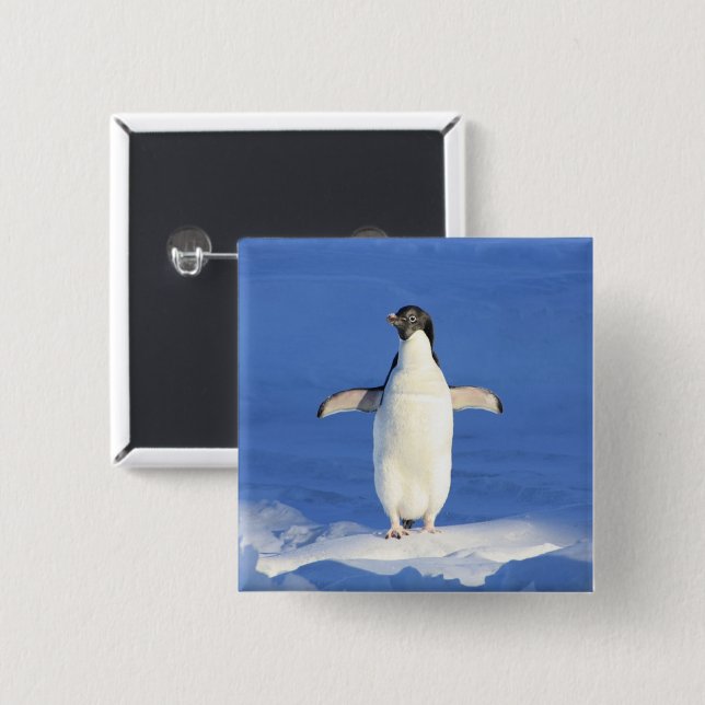 Funny penguin on ice photo 15 cm square badge (Front & Back)
