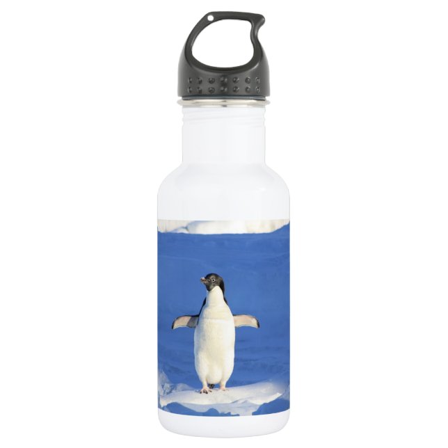 Funny penguin on ice photo 532 ml water bottle (Front)