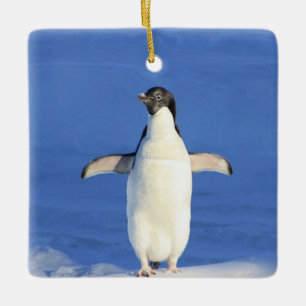 Funny penguin on ice photo ceramic ornament