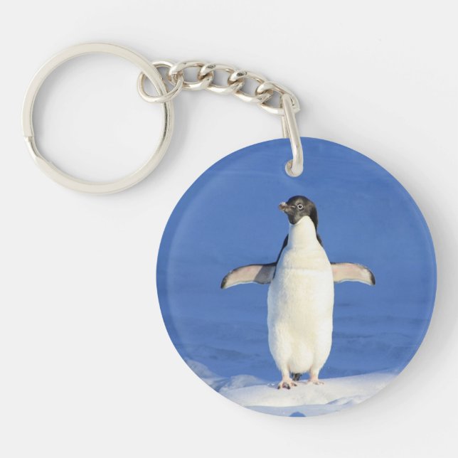 Funny penguin on ice photo key ring (Front)