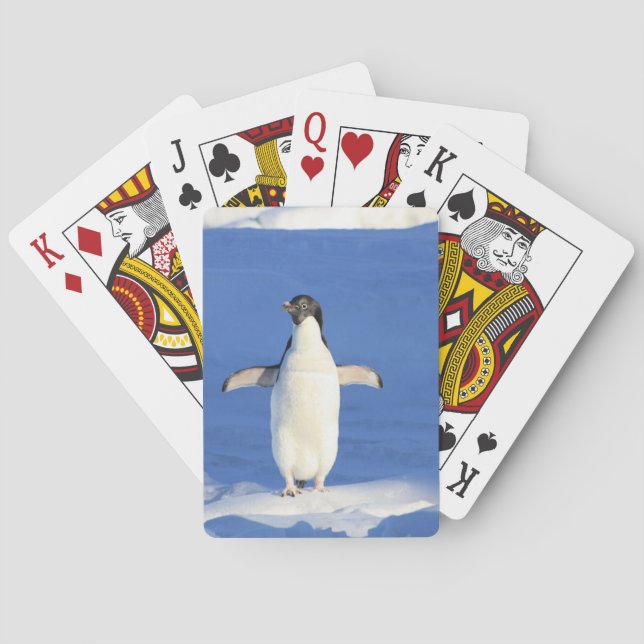 Funny penguin on ice photo playing cards (Back)