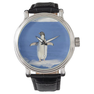 Funny penguin on ice photo watch