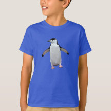 Funny Penguin