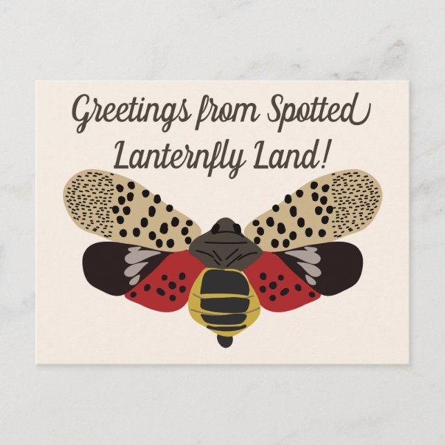 Funny Pennsylvania Spotted Lanternfly Custom Postcard (Front)