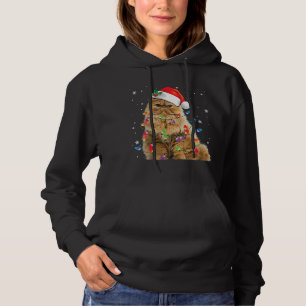 Funny Persian Cat Christmas Lights Xmas Pajama Cat Hoodie