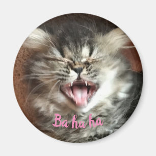 Funny Persian Cat Laughing Humourous Grey Kitten Magnet