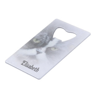 funny persian cat with big eyes credit card bottle