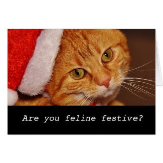 Funny personalised cat christmas card