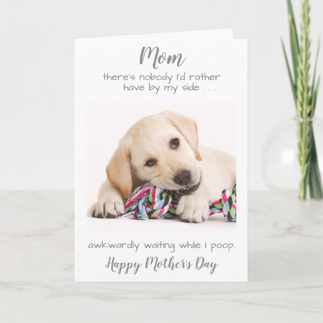Funny Personalised Dog Mum Pet Photo Mothers Day Holiday Card (Front)