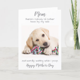 Funny Personalised Dog Mum Pet Photo Mothers Day Holiday Card
