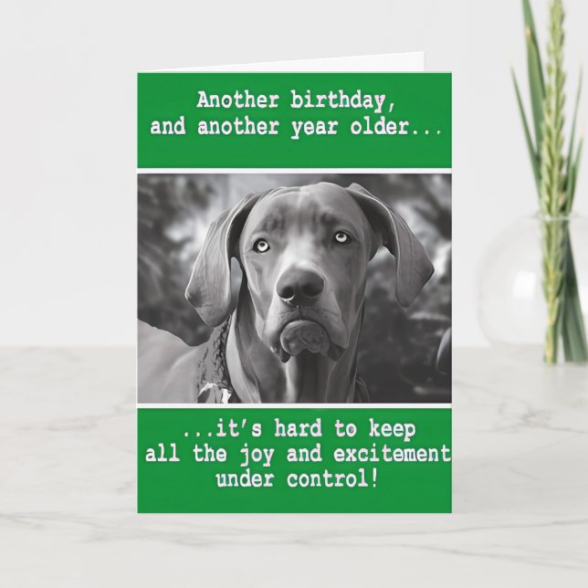 Funny Personalised Dog Photo Birthday    Card (Front)