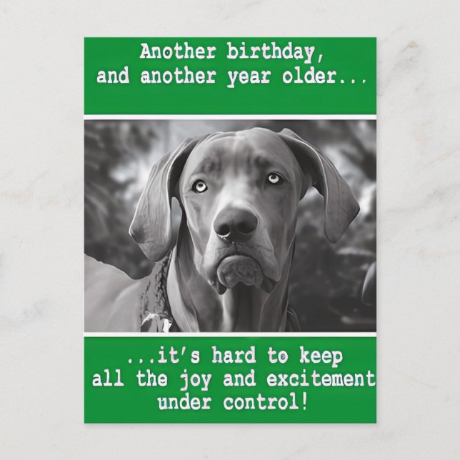 Funny Personalised Dog Photo Birthday    Postcard (Front)