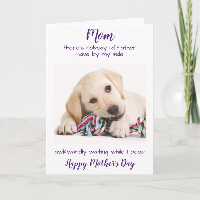 Funny Personalised Pet Photo Dog Mum Mothers Day Holiday Card (Front)