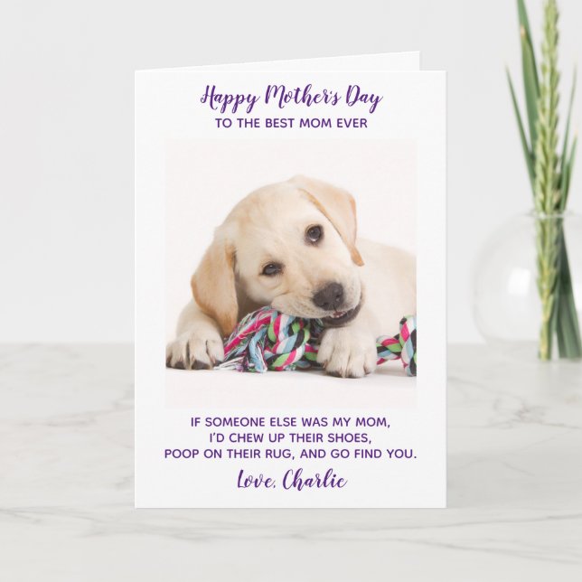 Funny Personalised Pet Photo Mothers Day Dog Mum Holiday Card (Front)