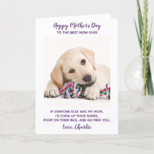 Funny Personalised Pet Photo Mothers Day Dog Mum Holiday Card