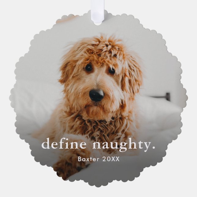Funny Pet 2 Photo Christmas Holiday Tree Decoration Card (Front)