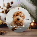 Funny Pet 2 Photo Christmas Metal Tree Decoration<br><div class="desc">A Funny Pet Photo Christmas Ornament with simple type define naughty greeting on the front. The back has a second photo. Click the edit button to customise this design.</div>