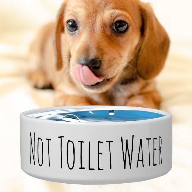 Funny Pet Bowl Simple Minimalist Cute Ceramic Dog (Creator Uploaded)