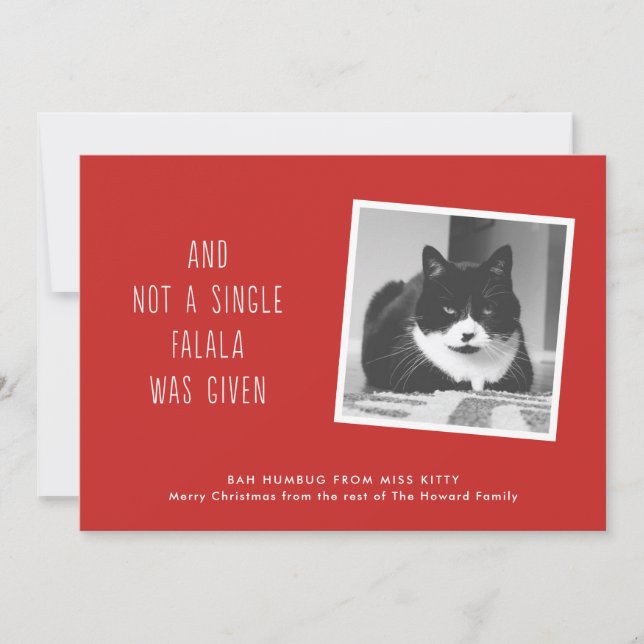 Funny Pet Christmas Cards for Cat People (Front)