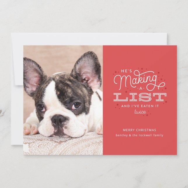 Funny Pet Christmas Cards Naughty Dog (Front)