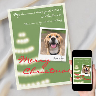 Funny Pet Christmas Photo Flat Holiday Card