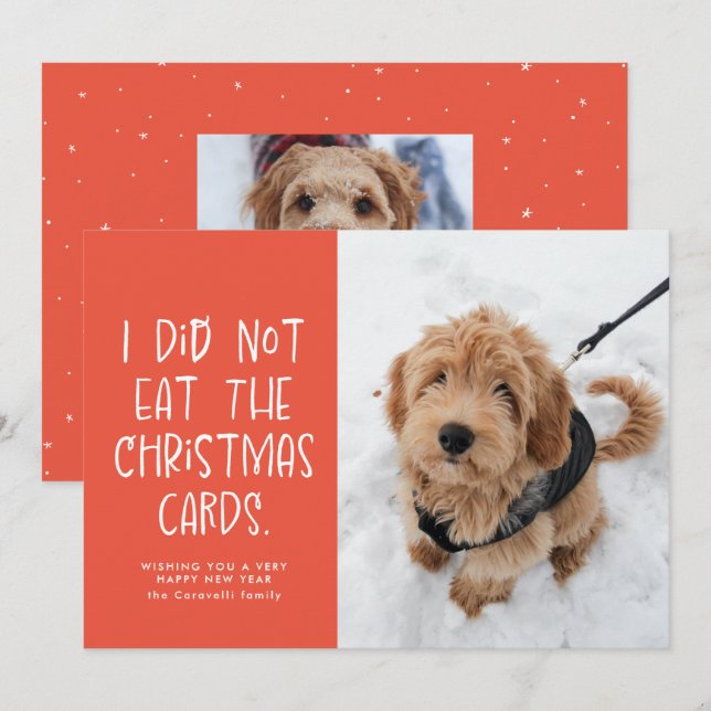 Funny pet coral peach New Year photo Holiday Card (Front/Back)