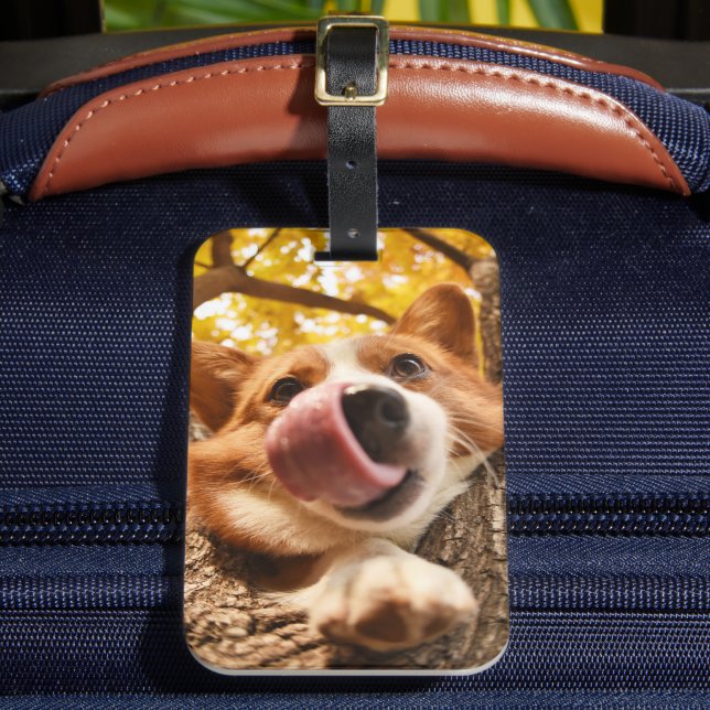 Funny Pet Custom Photo Luggage Tag (Front Insitu 2)