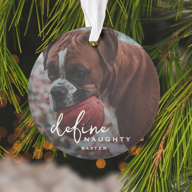 Funny Pet Define Naughty Christmas Ornament (Creator Uploaded)