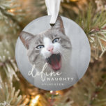 Funny Pet Define Naughty Christmas Ornament<br><div class="desc">Funny Pet Photo Christmas Holiday Ornament. Design features,  a photograph of your dog or cat,  an overaly,  the text 'DEFINE NAUGHTY',  and pets name/s.</div>